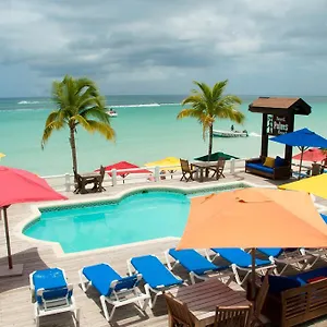 *** Hotel Palms Jamaica